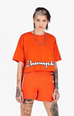 Champion Cropped Script Logo T-Shirt T-skjorte Dame Oransje | 3160-NJLFR