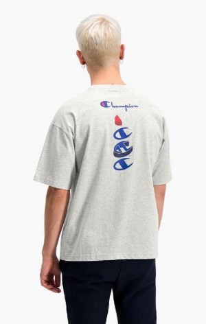 Champion Products Inc. Logo T-Shirt T-skjorte Herre Lyse Grå | 0735-VUBIO