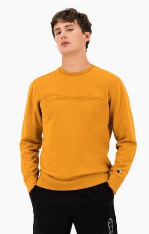 Champion Script Logo Reverse Weave Sweatshirt Gensere Herre Oransje | 3108-HFCZW