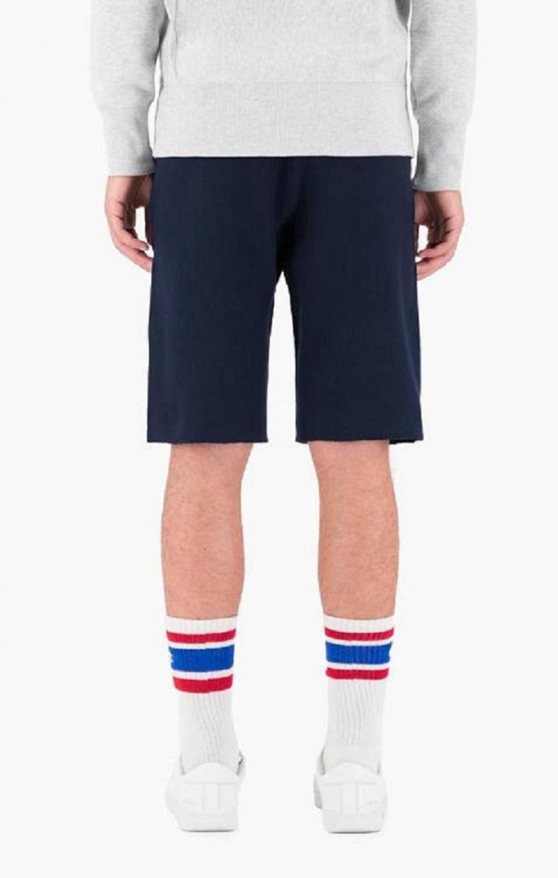 Champion Reverse Weave Long Shorts Shorts Herre Lyse Grå | 2536-WTHPJ