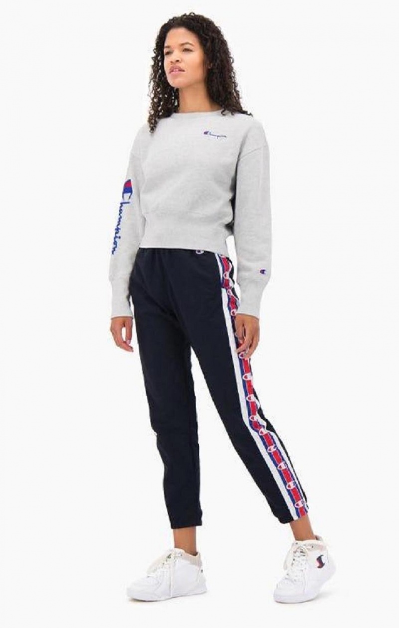 Champion Script Logo High Rib Reverse Weave Sweatshirt Gensere Dame Lyse Grå | 6193-NBAVD