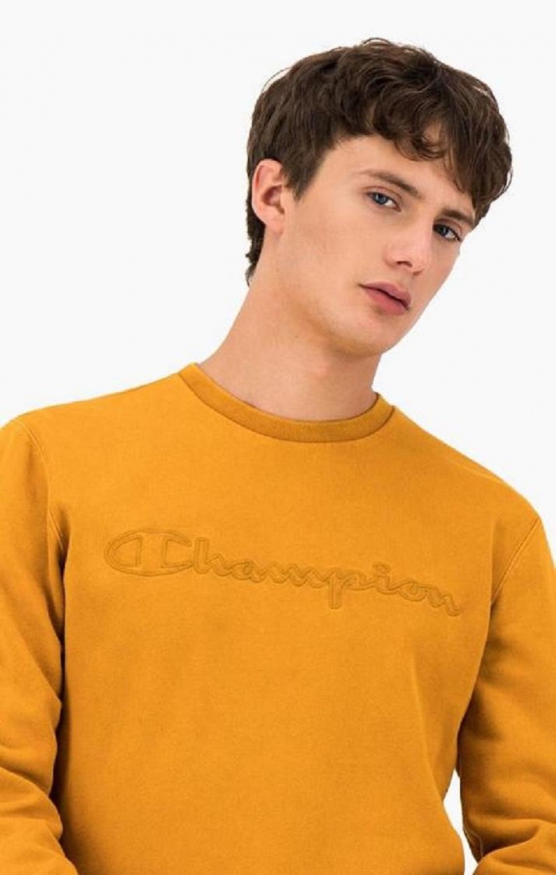 Champion Script Logo Reverse Weave Sweatshirt Gensere Herre Oransje | 3108-HFCZW