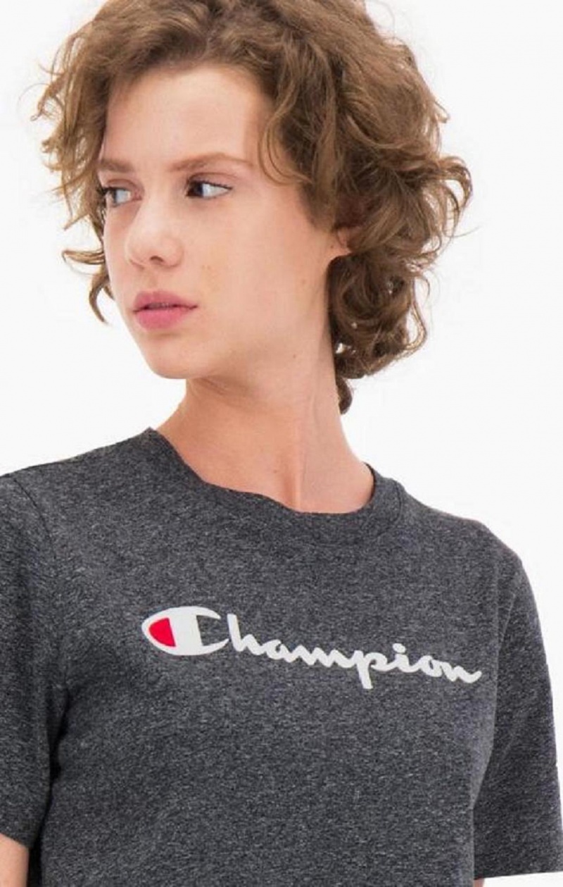 Champion Velvet Script Logo T-Shirt T-skjorte Dame Lyse Grå | 6539-YDPOZ